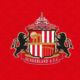 Sunderland's Premier League Return The Story of a Sleeping Giant Reawakened