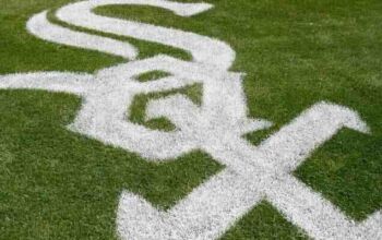 White Sox A New Era of Ownership Looms